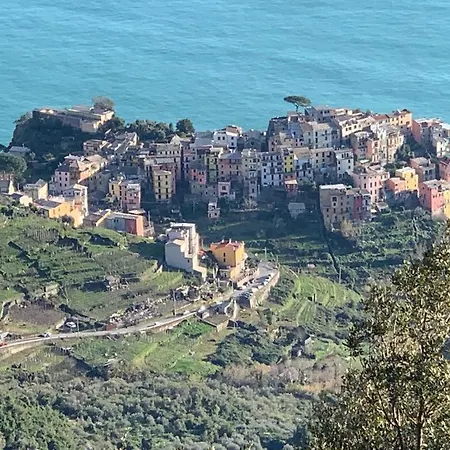 Pinuccia Corniglia